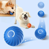Rolling Ball Dog Toy